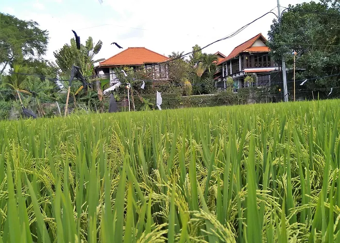 Umah Watu Villas